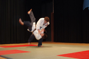 Judo_2